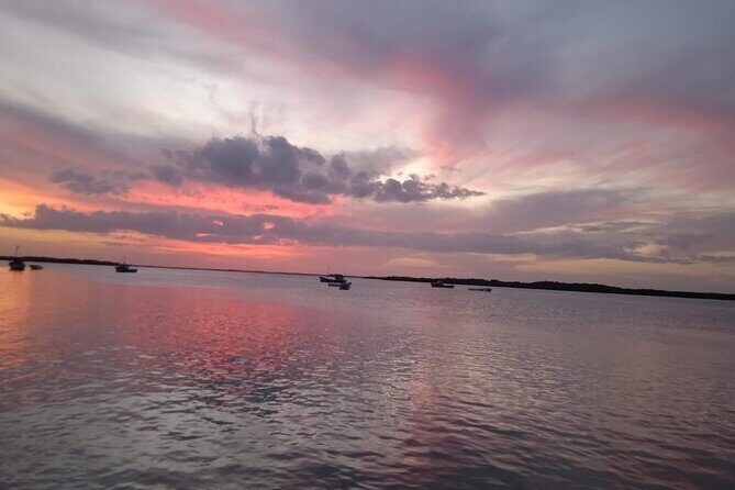 Full Day Tour Río Lagartos with Pickup from Mérida 7 AM - Good To Know
