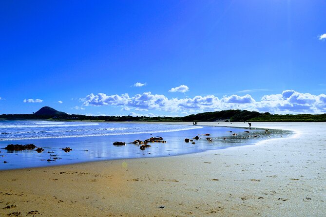 Full-Day Tour: Sands and Castles of East Lothian From Edinburgh - Historic Castles