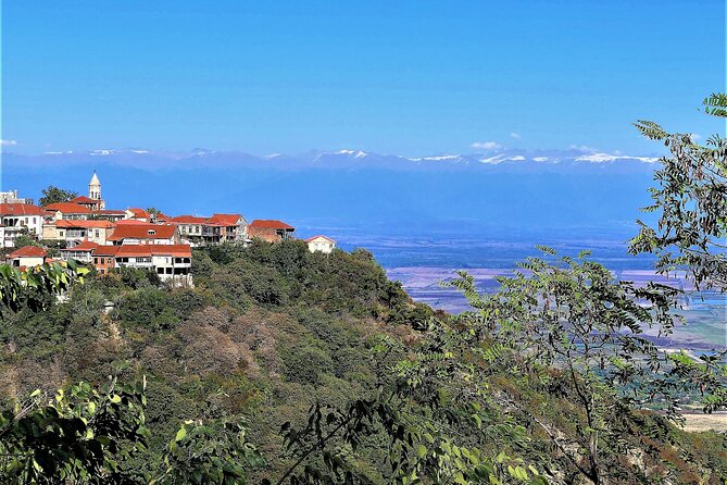 Full Day Tour Sighnaghi and Bodbe Including Wine Tasting - Tour Highlights