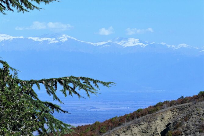 Full Day Tour Sighnaghi and Bodbe Including Wine Tasting - Monastery Visit