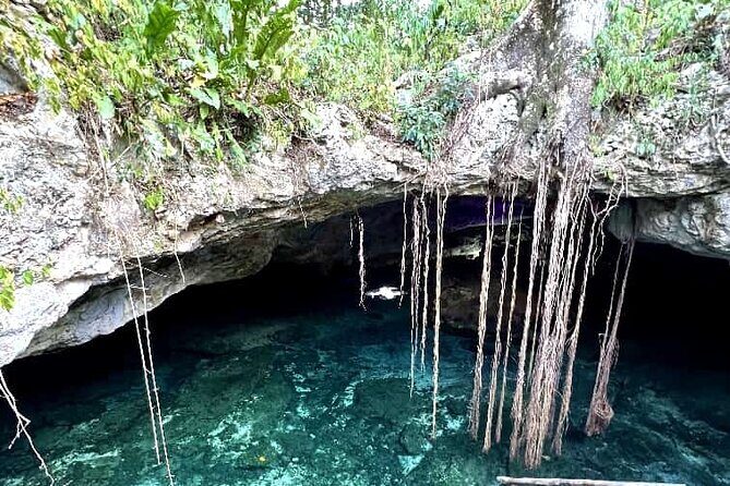 Full Day Tour Snorkeling with Turtles in Akumal, Tulúm and Playa del Carmen - What Travelers Say (Based on Available Reviews)