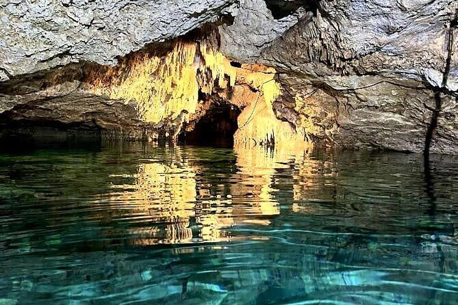 Full Day Tour Snorkeling with Turtles in Akumal, Tulúm and Playa del Carmen - Who Is This Tour Best For?