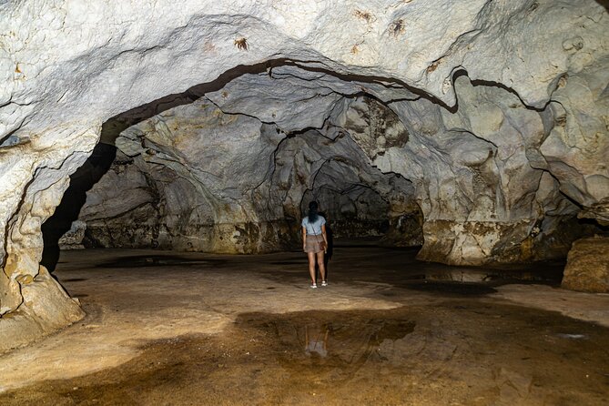 Full Day Tour to 3 Dominican Cultures Afro, Hispanic and Taino - Cultural Experiences