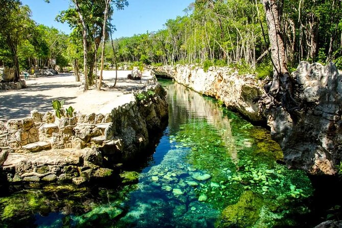 Full Day Tour to 5 Magical Cenotes in the Riviera Maya - Meeting and Pickup Information