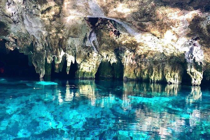Full Day Tour to 5 Magical Cenotes in the Riviera Maya - Common Questions