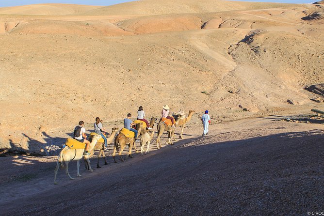 Full Day Tour to Agafay Desert and Atlas Mountains From Marrakech - What To Expect