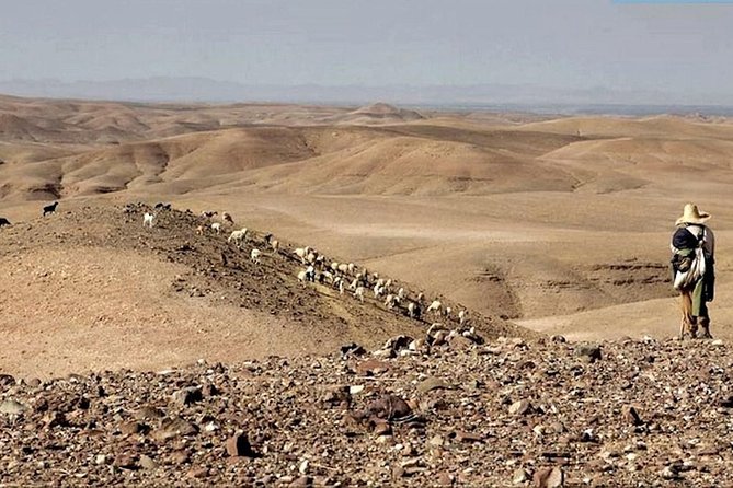 Full Day Tour to Agafay Desert and Atlas Mountains From Marrakech - Frequently Asked Questions