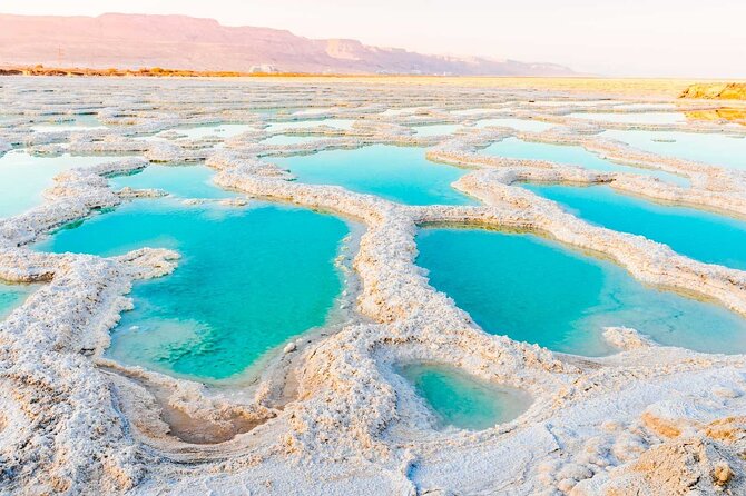 Full Day Tour to Amman City and Dead Sea - Whats Included