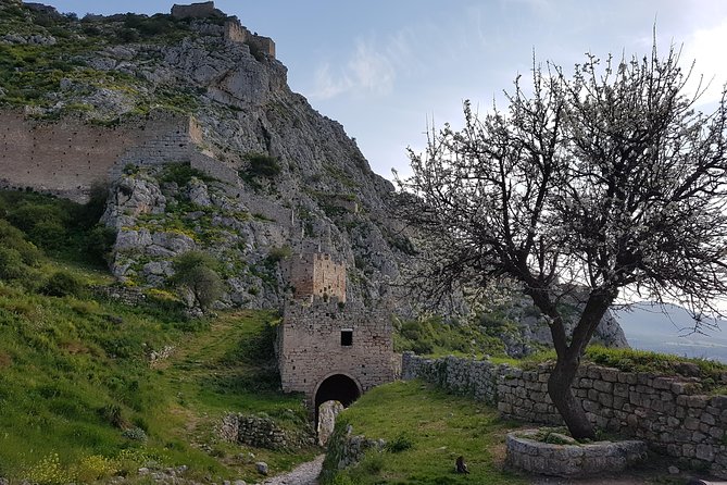 Full Day Tour to Ancient Corinth and Wine Tasting in Ancient Nemea - Cancellation Policy