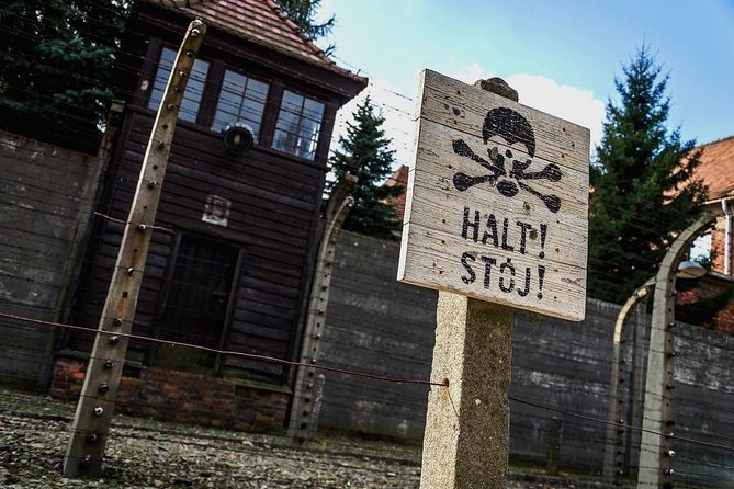 Full Day Tour to Auschwitz-Birkenau and Salt Mine With a Local Guide From Krakow - Tour Highlights