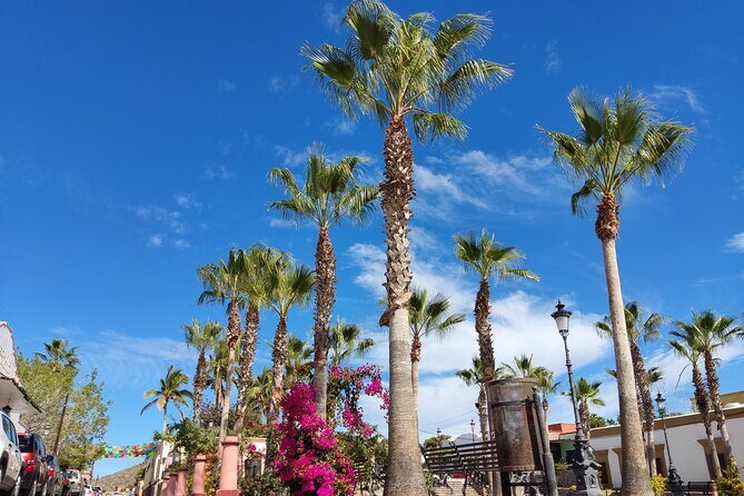 Full Day Tour to Balandra Beach, Todos Santos and La Paz - Who Should Consider This Tour?