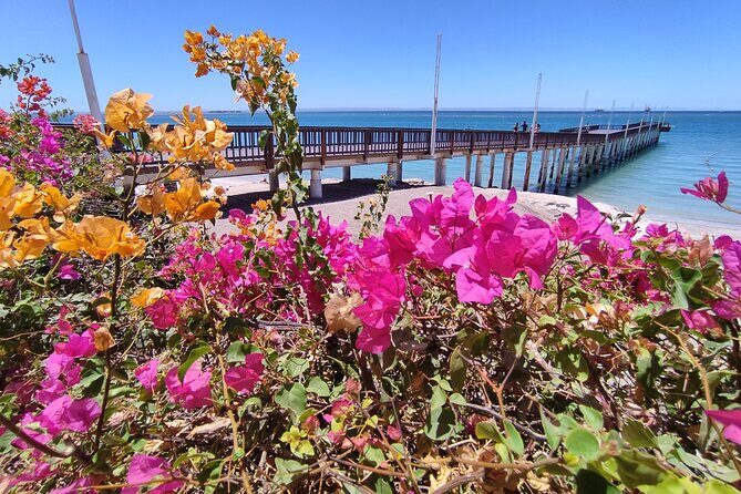 Full Day Tour to Balandra Beach, Todos Santos and La Paz - Frequently Asked Questions