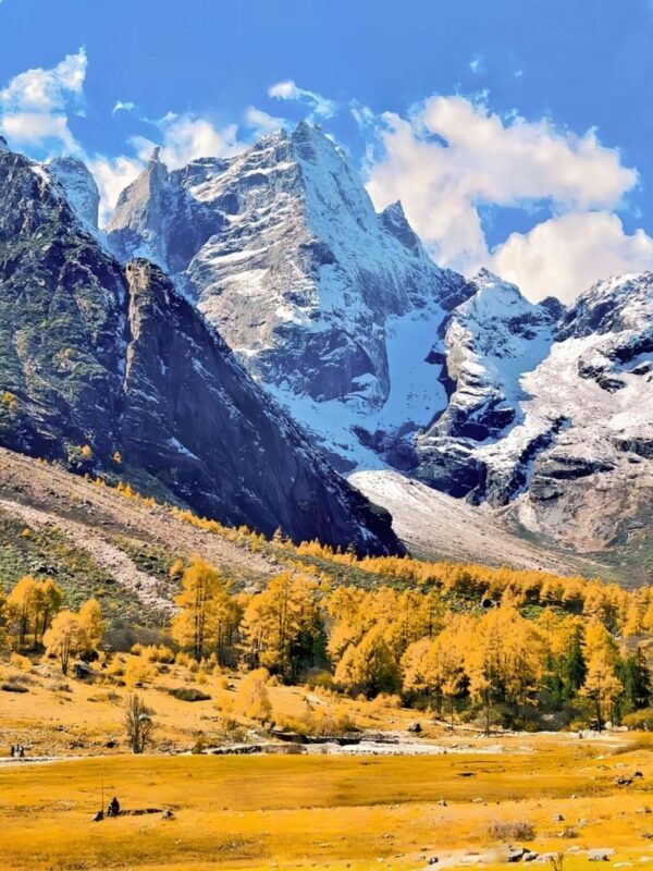 Full-day tour to Bipenggou, Chengdu, experience the beautiful nature - A shuttle can make the trip easier