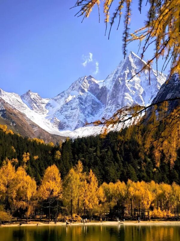 Full-day tour to Bipenggou, Chengdu, experience the beautiful nature - What the price may include