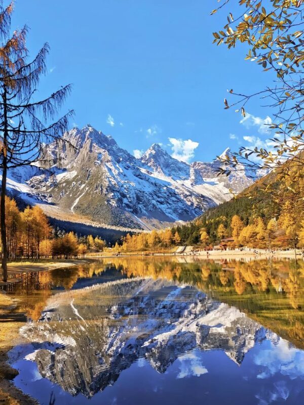 Full-day tour to Bipenggou, Chengdu, experience the beautiful nature - Who should consider this trip