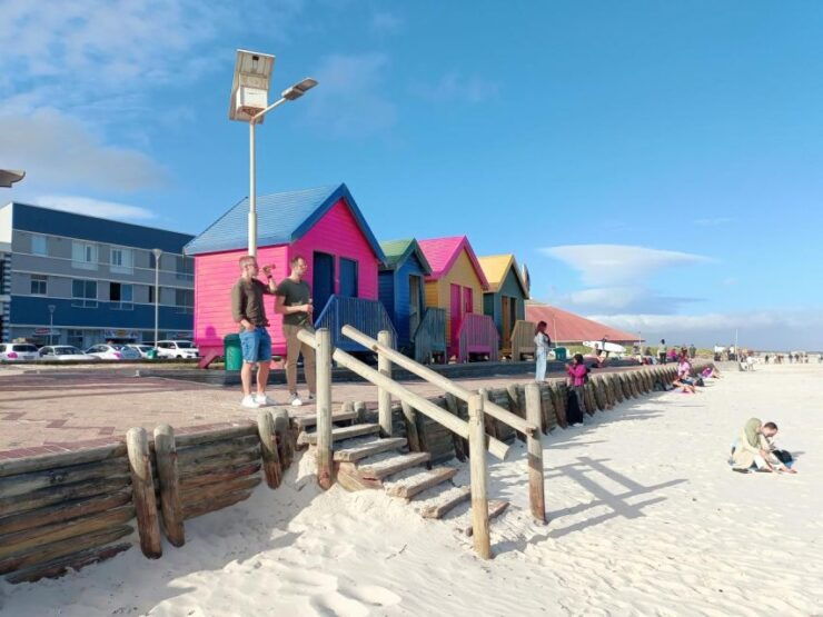 Full-Day Tour to Cape of Good Hope & Penguins From Cape Town - Highlights
