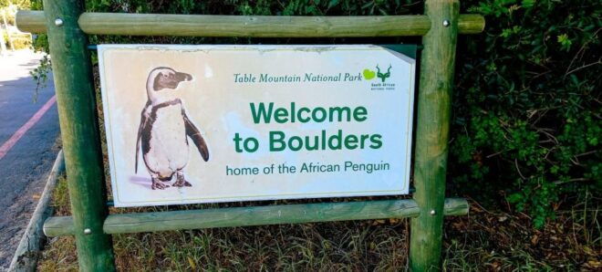 Full-Day Tour to Cape of Good Hope & Penguins From Cape Town - Meeting Point