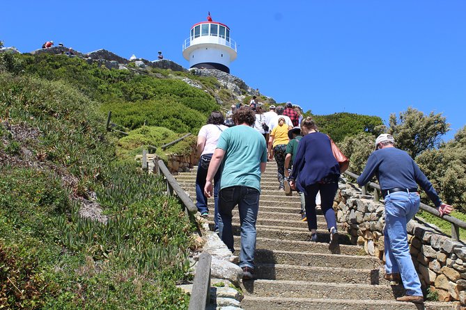 Full-Day Tour to Cape Point and Cape of Good Hope - Scenic Views and Photo Opportunities