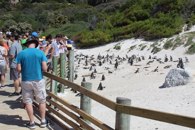 Full-Day Tour to Cape Point and Cape of Good Hope - Pricing and Booking Details