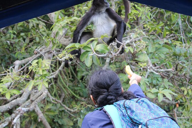 Full Day Tour to Catemaco and Los Tuxtlas With Transportation - Transportation Details for the Full Day Tour