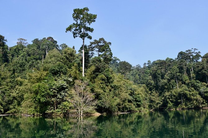 Full-Day Tour to Cheow Lan Lake in Khao Sok National Park From Krabi - Cancellation Policy