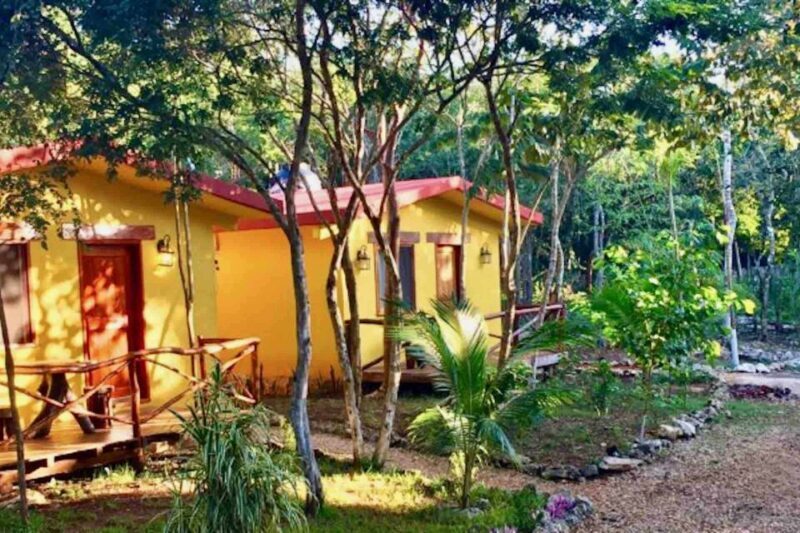 Full Day Tour to Cobá Ruins, Punta Laguna & Cenote - FAQs