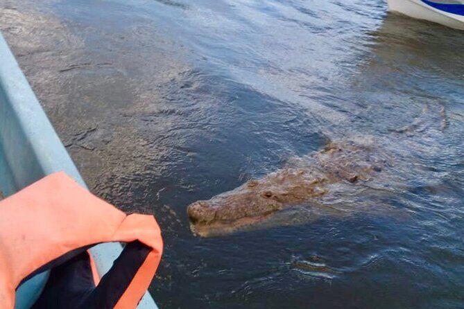 Full Day Tour to Coloradas & Rio Lagartos - Who Is This Tour Best For?