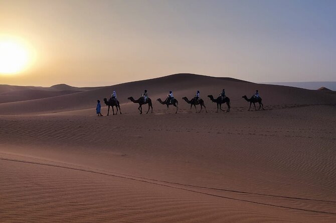 Full Day Tour to Desert From Agadir With Lunch - The Sum Up