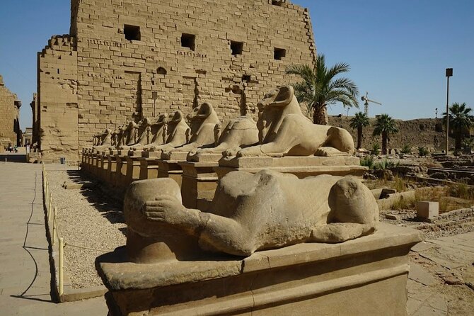 Full Day Tour to East and WestBanks of Luxor (Private) - East Bank Itinerary