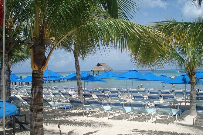 Full day tour to El Cielo in Cozumel Snorkeling and Lunch - Snorkeling at Palancar, Colombia, and Cielo Reefs