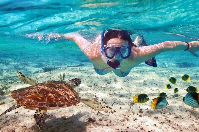 Full day tour to El Cielo in Cozumel Snorkeling and Lunch - Beach time at El Cielito Beach and local dining