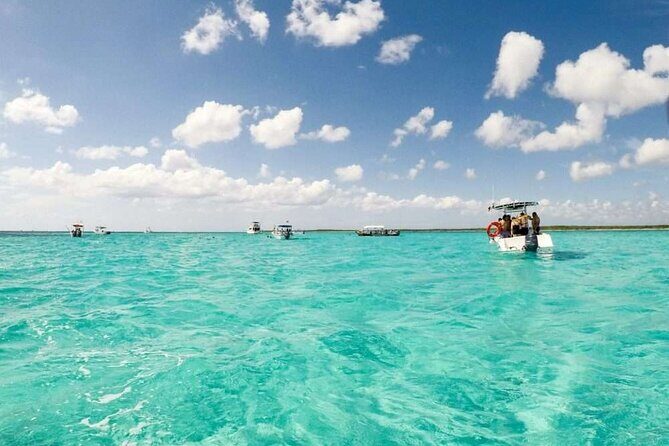 Full day tour to El Cielo in Cozumel Snorkeling and Lunch - Exploring Cozumel and the Reef Conservation Fee