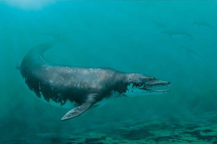 Full-Day Tour To El Fayoum From Cairo - Tour Duration and Itinerary