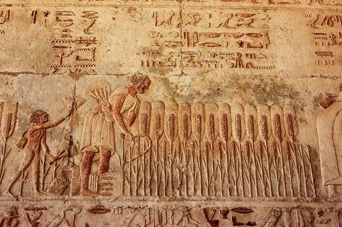 Full Day Tour to El Minya From Cairo - Pickup and Transfers