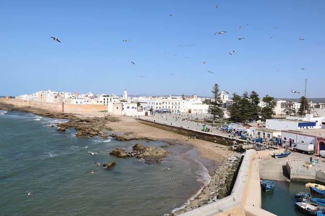 Full Day Tour To Essaouira Mogador From Marrakech - Tour Highlights