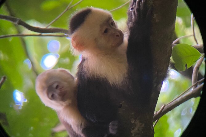Full Day Tour to Hacienda Baru and Nauyaca Waterfalls - Inclusions and Amenities
