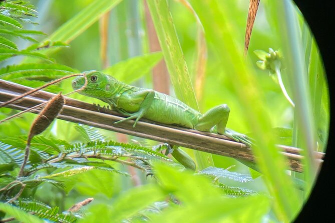Full Day Tour to Hacienda Baru and Nauyaca Waterfalls - Frequently Asked Questions