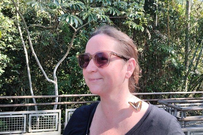 Full-Day Tour to Iguazu Falls Brazil and Argentina - Accessibility Information