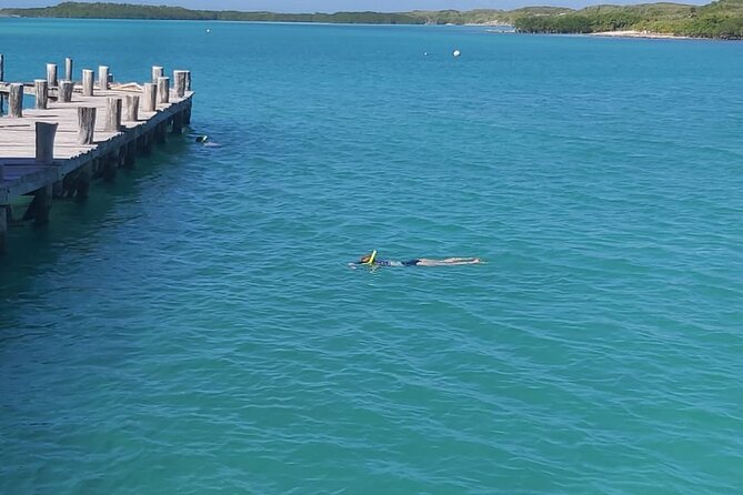 Full Day Tour to Isla Contoy From Cancun - Important Information