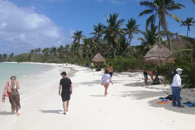 Full Day Tour to Isla Contoy From Cancun - Common Questions