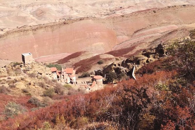 Full Day Tour to Kakheti: David Gareja and Signagi Town - Inclusions and Exclusions
