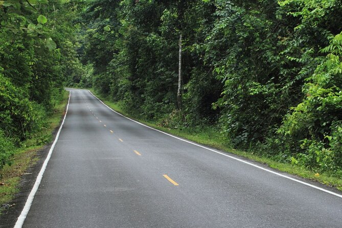 Full Day Tour to Khao Yai National Park From Bangkok - Pickup Details