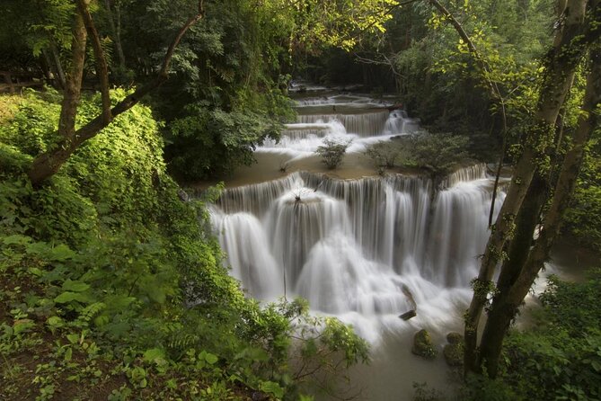 Full Day Tour to Khao Yai National Park From Bangkok - Transportation Options