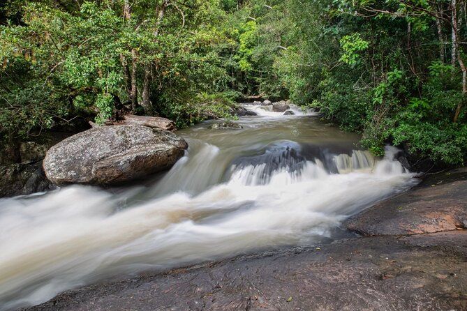 Full Day Tour to Khao Yai National Park From Bangkok - Tour Highlights