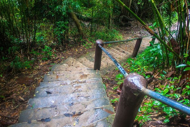 Full Day Tour to Khao Yai National Park From Bangkok - Things to Bring