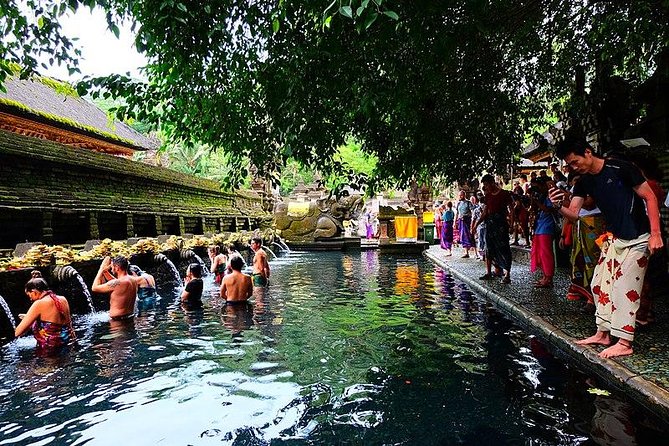 Full Day Tour to Kintamani and Ubud Excursion - Transportation Details