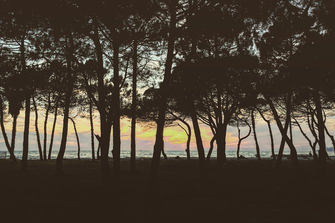 Full Day Tour to Kruja and Durres From Tirana - Cancellation Policy