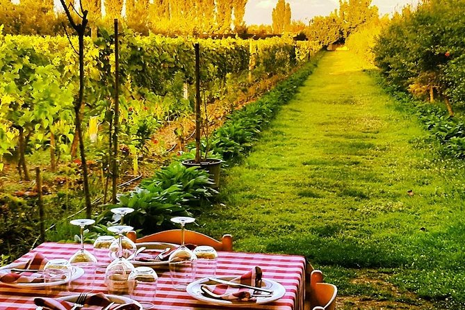 Full Day Tour to Kruja and Durres From Tirana - The Sum Up