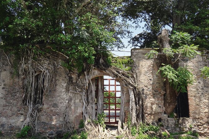 Full Day Tour to La Antigua, Cempoala and Quiahuiztlán - Booking Information