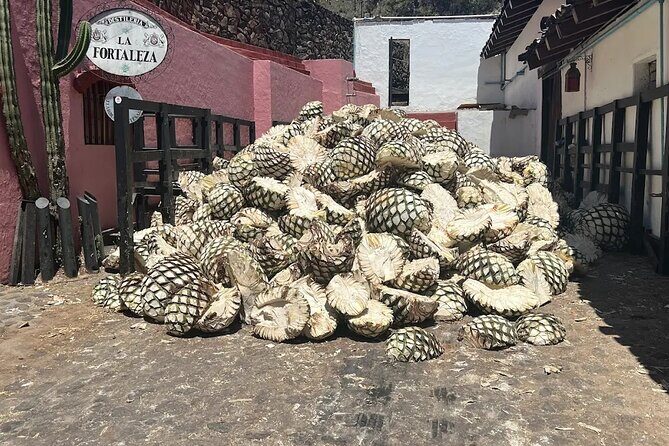 Full-Day Tour to La Fortaleza Distillery and Cantaritos - Good To Know